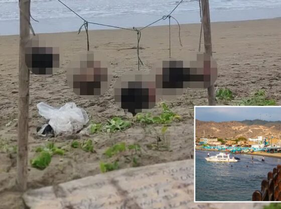 An image collage containing 2 images, Image 1 shows NINTCHDBPICT001051023734, Image 2 shows Dive boat and beach scene on the Ecuador coast. Puerto Lopez, Manabi, Ecuador