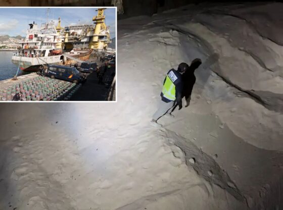An image collage containing 2 images, Image 1 shows Spanish police seize record 10 tons of cocaine hidden in cargo of salt, Image 2 shows Spanish police seizes largest-ever maritime cocaine haul