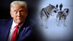 Greenland’s defenses are ‘two dog sleds’ – Trump
