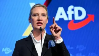 Alice Weidel, joint leader of the AfD.