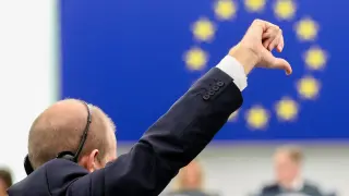 A vote during the plenary session of the European Parliament in Strasbourg