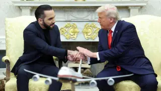 President Donald Trump shakes hands with President Nayib Bukele of El Salvador in the Oval Office of the White House in Washington, DC, USA, on April 14, 2025.